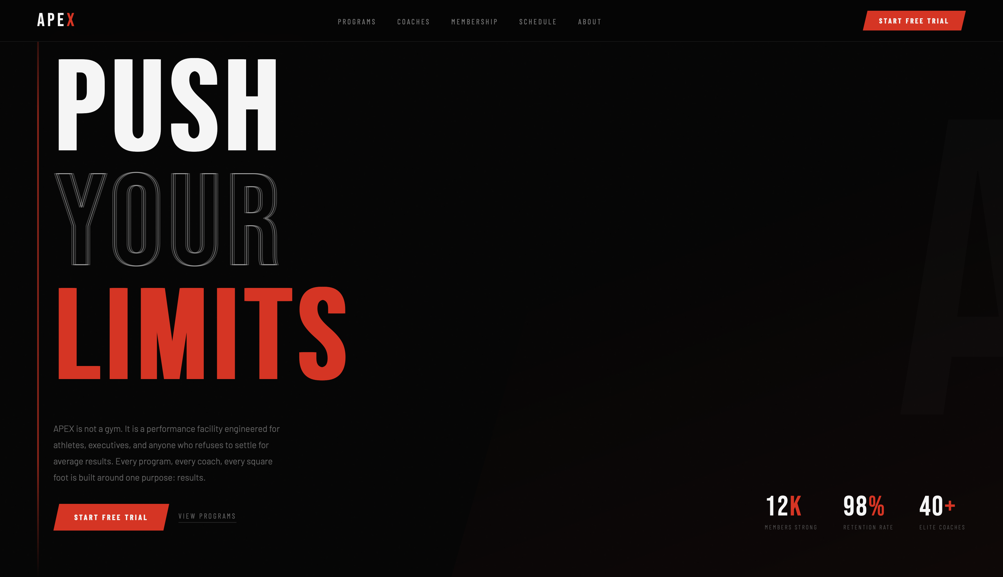 Gym & Fitness sample preview